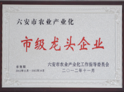 六安市农业产业化市级龙头企业