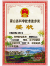 霍山县科学技术进步奖