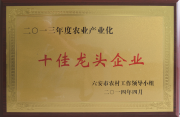 十佳龙头企业