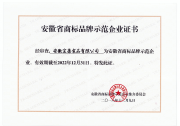 安徽省商标品牌示范企业